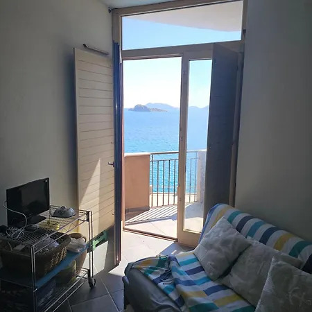 Panoramic 315